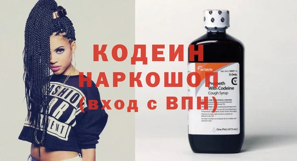 хмурый Алзамай