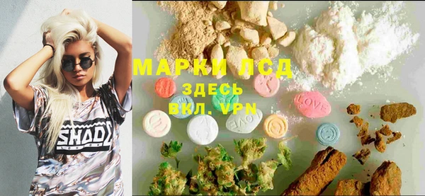 хмурый Алзамай