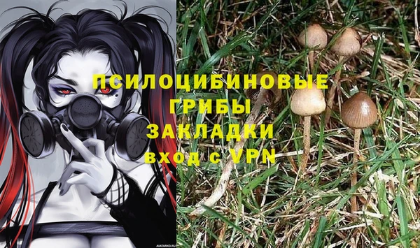 прущий лед Алексин