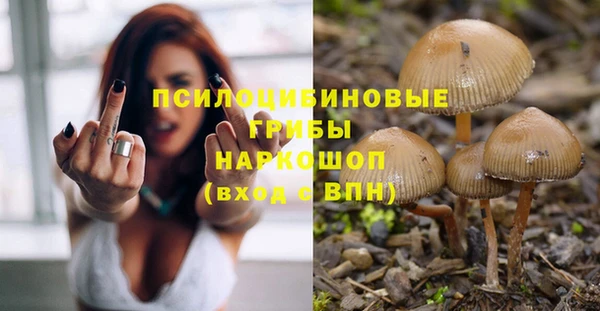 ешки Алексеевка