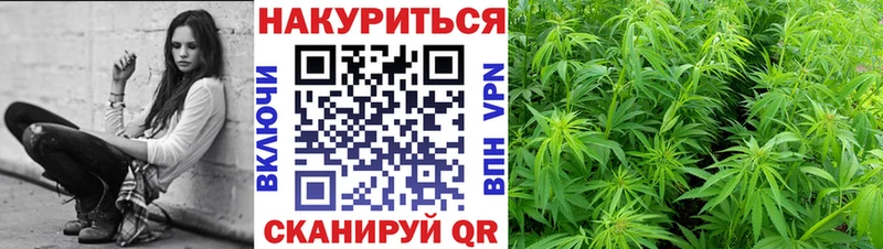 сколько стоит  Нестеров  Марихуана SATIVA & INDICA 